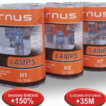 LEMPUTĖS H1, H3, H7, H8, H11